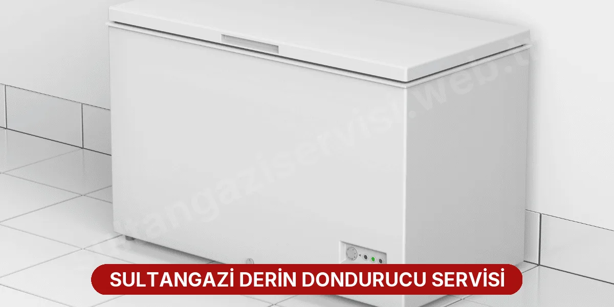 Sultangazi Derin Dondurucu Servisi