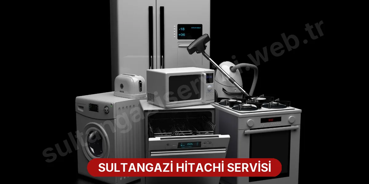 Sultangazi Hitachi Servisi