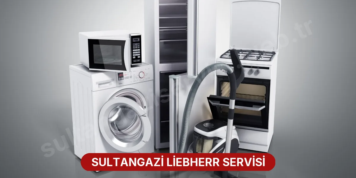 Sultangazi Liebherr Servisi